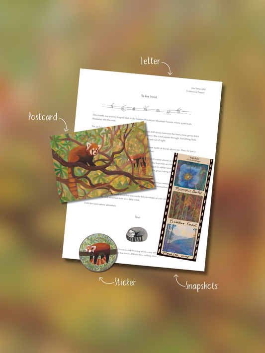 Into Nature Mail Collector Membership with illustrated nature letter, postcard, collectible snapshots and sticker