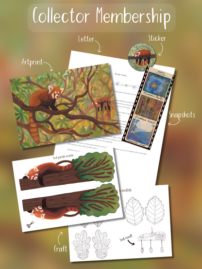 A collage-style promotional graphic for a red panda-themed collector membership set, showing printed sheets, a sticker, and labeled components such as art print, letter, sticker, snapshots, and craft templates on a warm brown gradient background.
