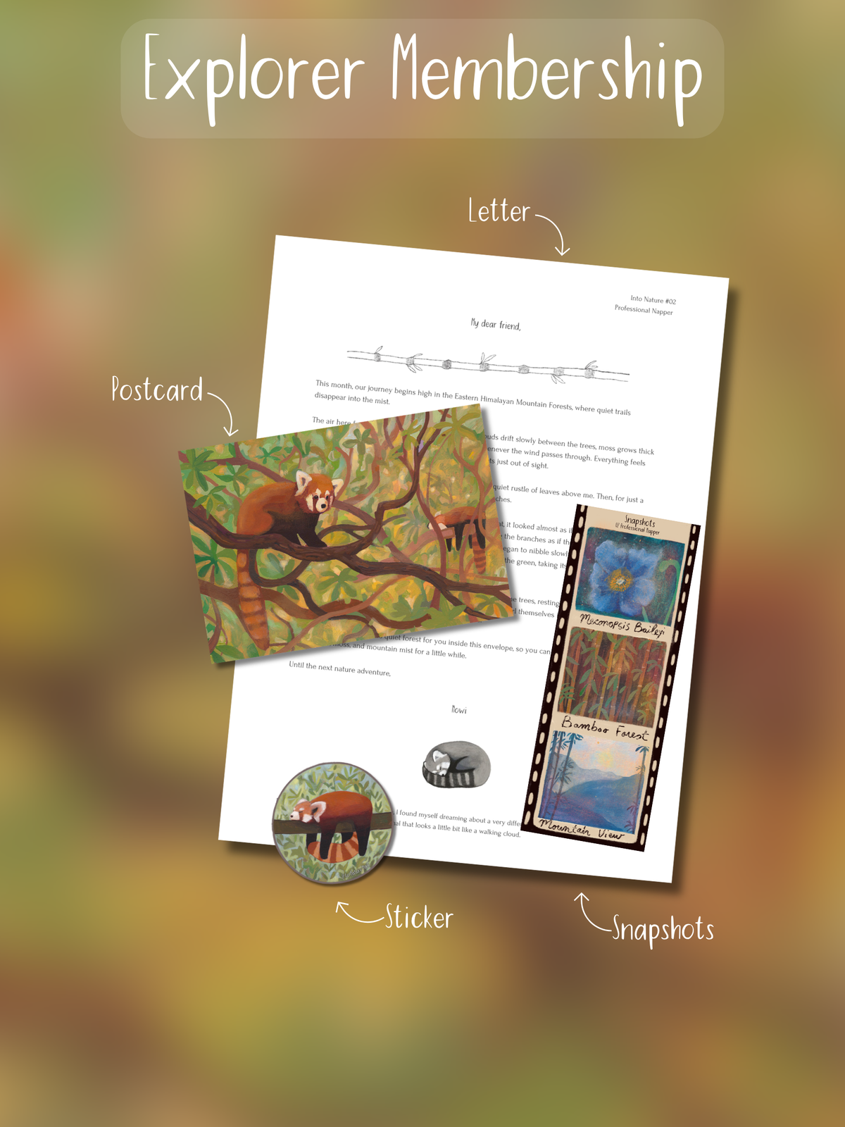 An illustrated promotional layout for an 'Explorer Membership' showing a printed letter, a postcard, a sticker, and an inset photo arranged over a soft blurred warm background. Hand-drawn arrows label each component.