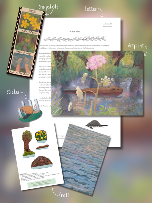 Into Nature Mail Collector Membership with illustrated nature letter, art print, collectible snapshots, sticker and paper craft