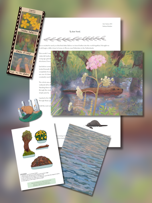Into Nature Mail Collector Membership with illustrated nature letter, art print, collectible snapshots, sticker and paper craft