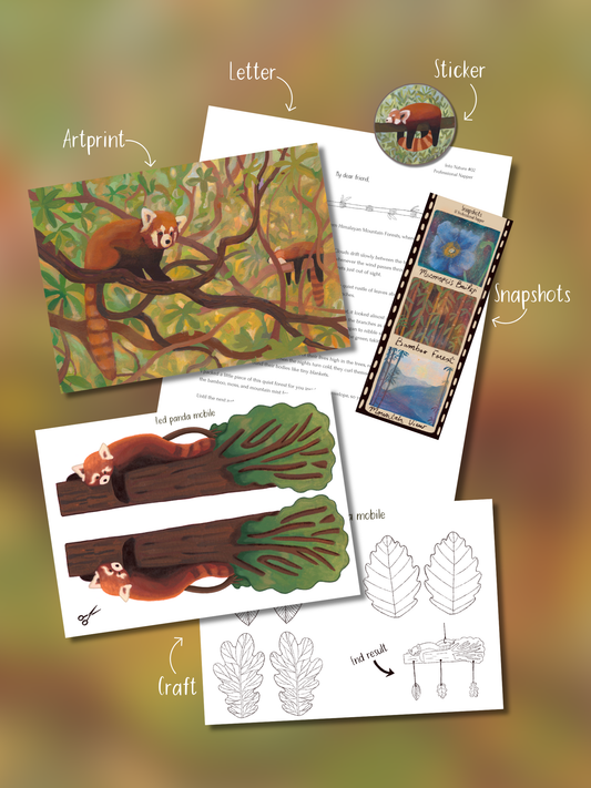 A collage of red panda-themed craft and art print materials arranged on a soft gradient background. Visible items include an artprint, a letter, a sticker, snapshot cards, leaf craft templates, and red panda illustrations, with handwritten labels pointing to each piece.
