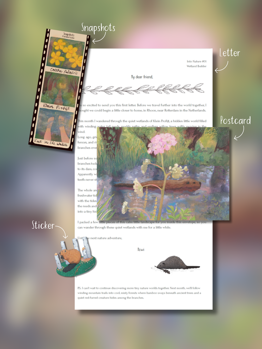 Into Nature Mail Explorer Membership with illustrated nature letter, postcard, collectible snapshots and sticker.