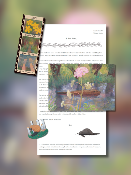 Into Nature Mail Explorer Membership with illustrated nature letter, postcard, collectible snapshots and sticker