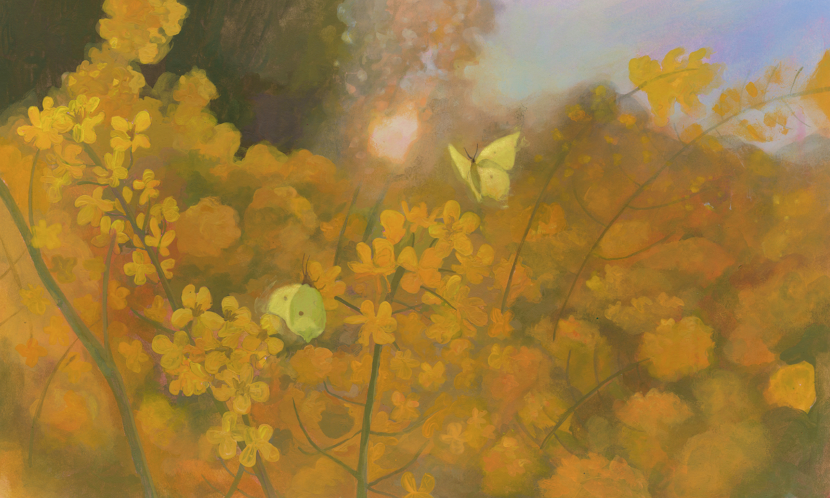 Illustrated yellow wildflowers and butterflies inspired by the nature adventures of Into Nature Mail